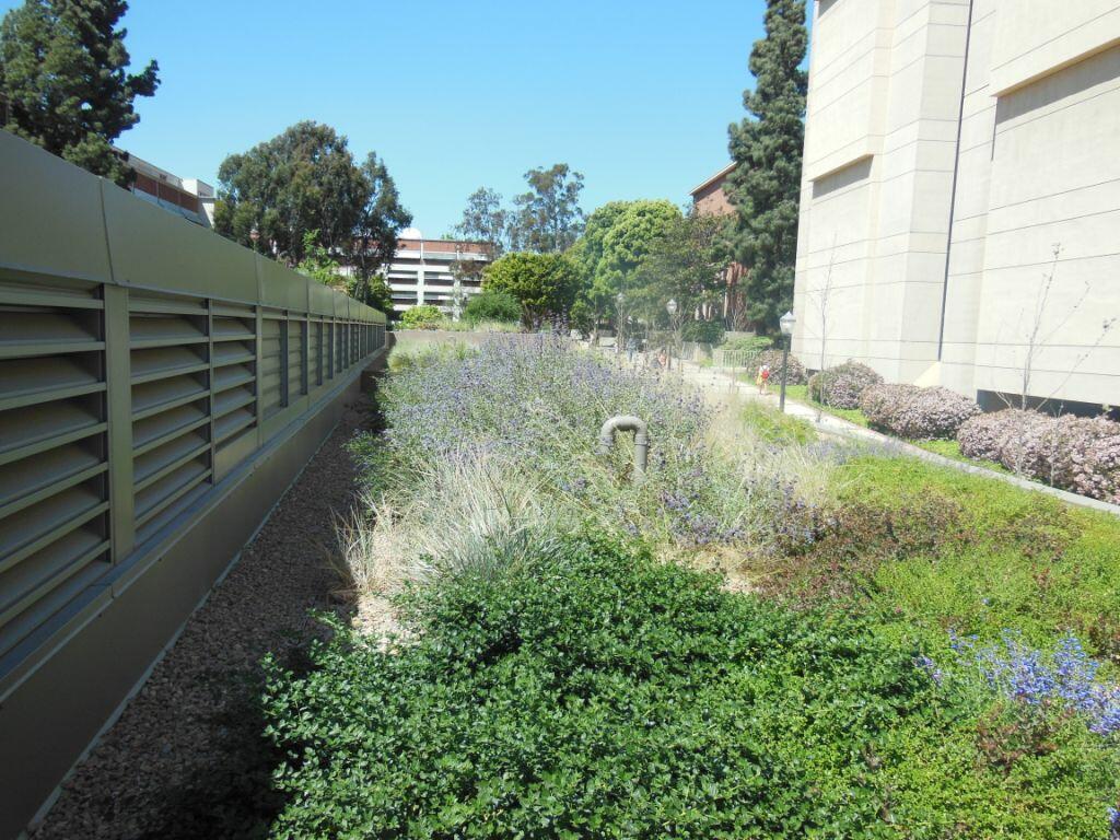UCLA Court of Sciences Building